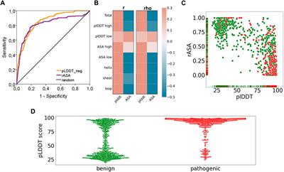 Evaluation of AlphaFold structure-based protein stability prediction on missense variations in cancer